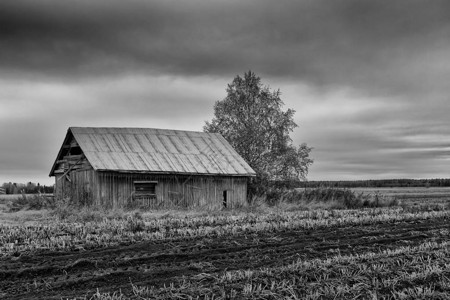 芬兰农村的灰色秋天图片