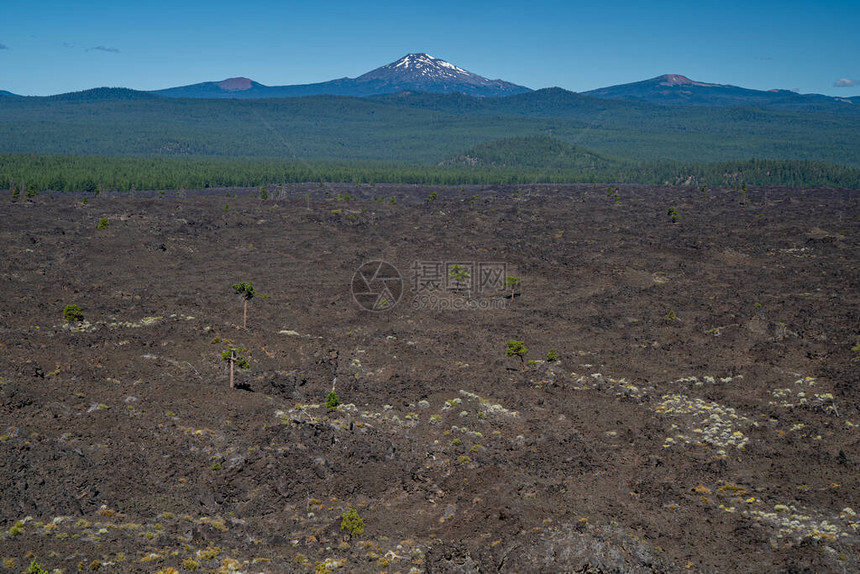 从PhilBrogan的观点看火山岩流在LavaLavaLandsNewberryVolcano图片