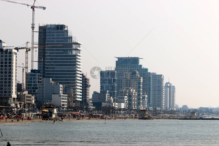 特拉维夫大城以色列地中海岸的图片