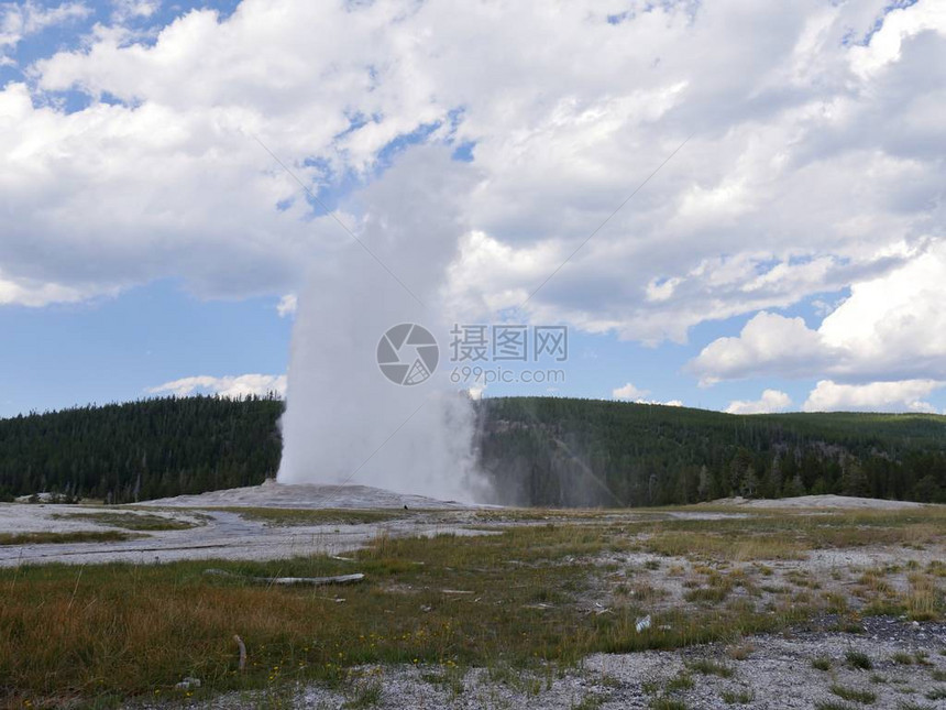 老忠实间歇泉在怀俄明州黄石公园的一次定期喷发中喷出滚烫的水和蒸汽图片