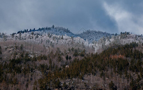 Chulyshman河谷附近的雪峰山脉图片