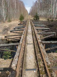 泥炭采掘沼泽中的铁路轨迹图片