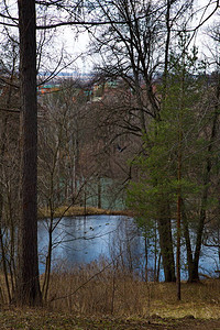 图罗夫卡河岸的池塘在一图片