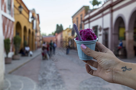 手工冰淇淋墨西哥guamuchilybiznag图片