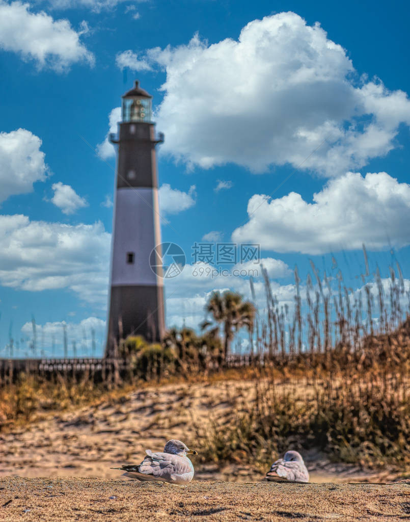 TybeeLighthouse和在尼斯天空下图片