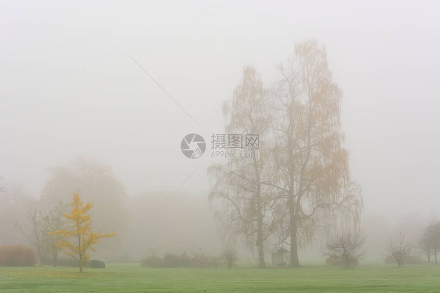 秋天风景叶子被的颜色淹图片