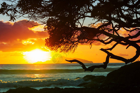 新西兰海洋滩的美丽日落高清图片