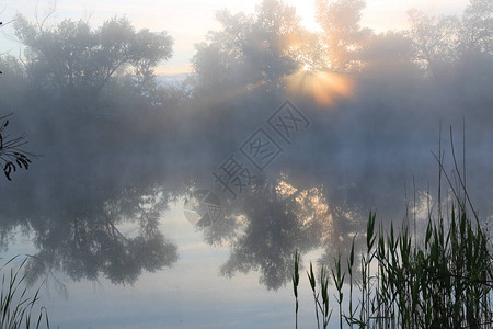 阳光在河上的雾中的美好早晨场景图片