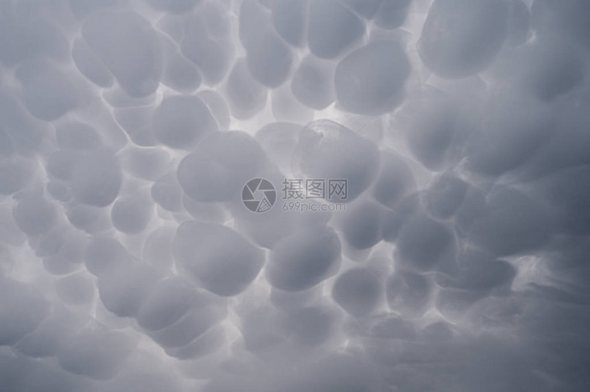 暴风雨前的哺乳动物云景图片