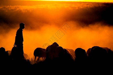 日落和牧羊人红色和黑色的自然背景图片