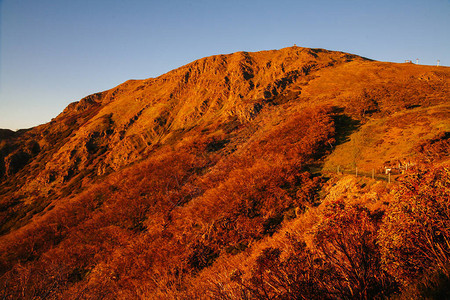 澳洲维多利亚高地小布勒斯普LittleBullerSpur上山公牛峰图片