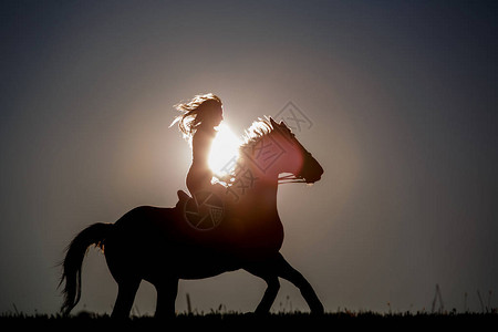 剪影马术骑马在日落背景在日落时有一匹马的女孩人和动物马术图片