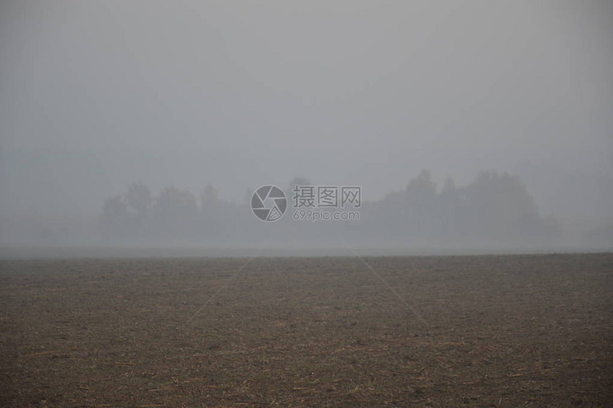 森林和村庄的晨雾和霾图片