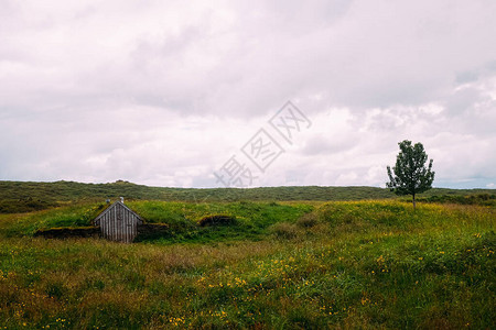 夏季在冰岛公园的绿树和小山中图片