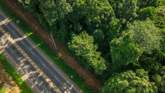 泰国Krabi的树林或森林及道路风景KrabiTha图片
