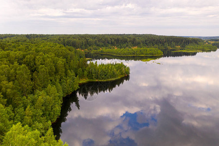 夏季的湖和森林大面积地图片