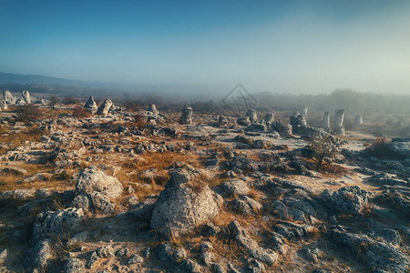 保加利亚瓦尔纳附近地标上称为波比提卡马尼的石林成图片