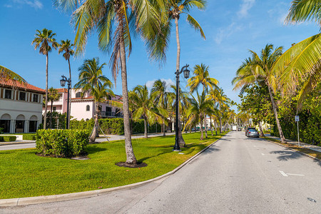佛罗里达棕榈海滩岛的皇家棕榈之路在美丽的阳光明媚的春图片