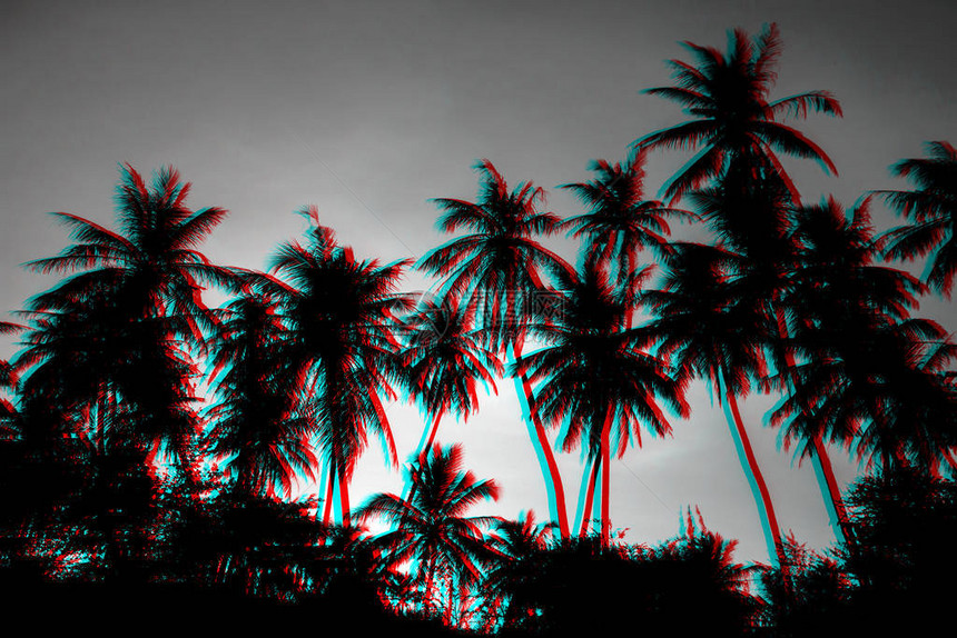 棕榈树的影集在晚上海滩边的紫蓝色天空对面带有3D闪光效图片