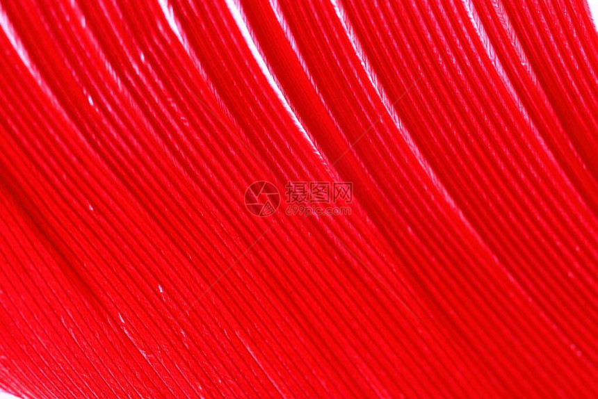 红色羽节密度图片