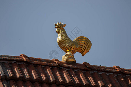 屋顶上的金鸡图片