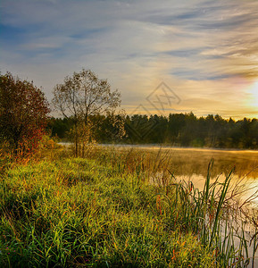在湖的秋天有雾的早晨图片