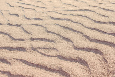浅色蜜砂高档结构长线沙漠撒哈拉戈壁横背景图片
