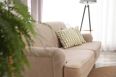 现代舒适的沙发客厅里图片