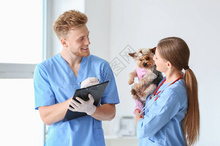 兽医与可爱的狗在诊所图片