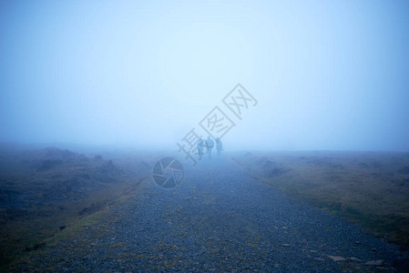 三个人走进雾中图片