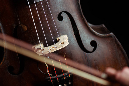低音提琴和弓的特写图片