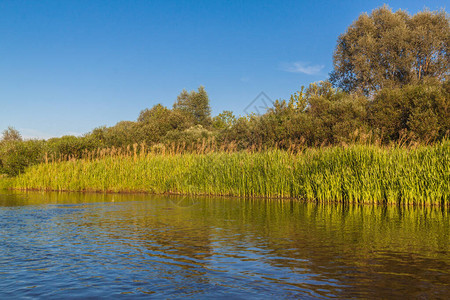 波利西亚的小河一个阳背景图片