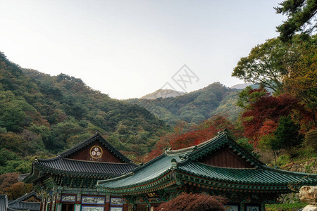 在韩国长坪拍摄的秋天叶颜色被包图片