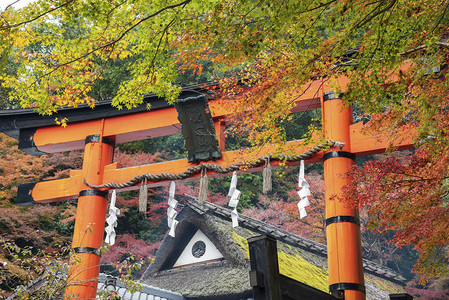 日本京都岚山佐贺鸟居本的历史地标鸟居门日文是区名高清图片