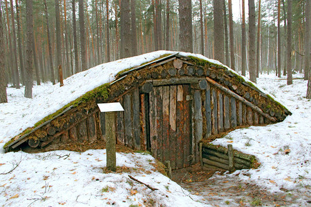 冬季森林中的游击队防空洞苏联游击队在第二次世界大战期间在乌克兰森林中建造的土屋森背景图片