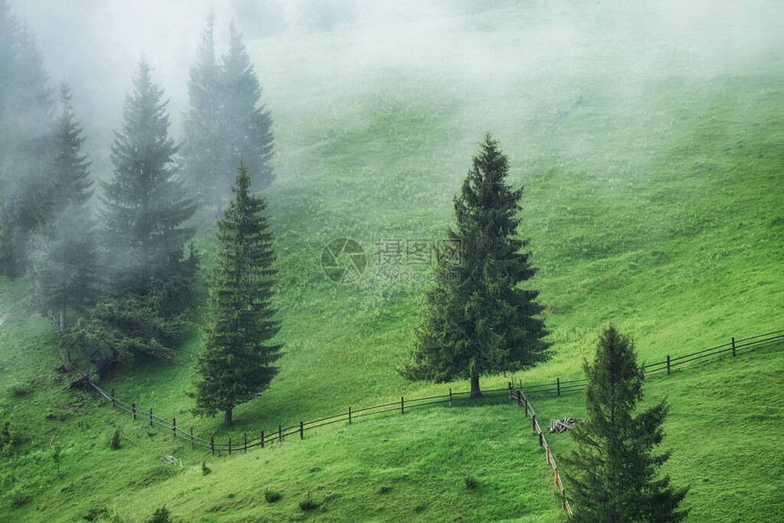 山中的雾林景观与树木和领域雨后的风景背景视图自图片