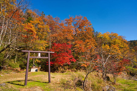 富村北海道的秋天图片