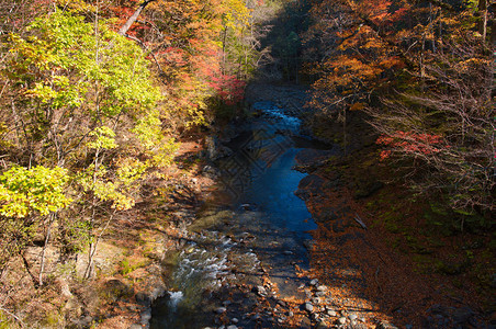 秋天北海道的tomuraushi图片