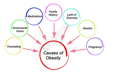 肥胖的七大原因图片