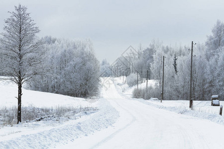 冬季森林中的雪道图片