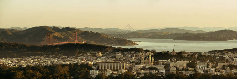 旧金山市中心建筑从山顶全图片