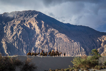 在莱赫州Hunder的高海拔寒冷沙漠骑骆驼时图片
