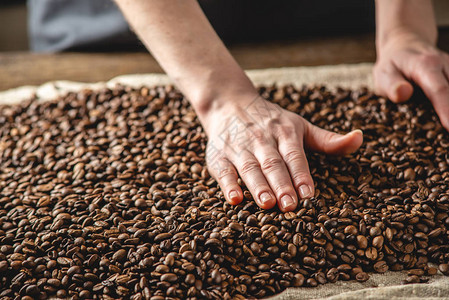 手抚摸着深色背景上芬芳的咖啡豆一堆烤阿拉比卡谷物浓缩咖啡新图片