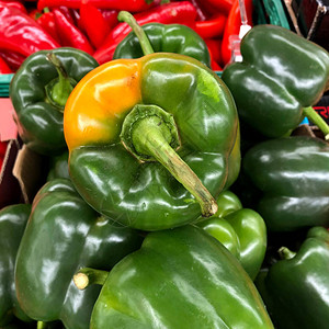 宏观照片蔬菜青椒库存照片新鲜的青椒图片