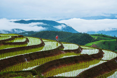 亚洲女旅行自然图片