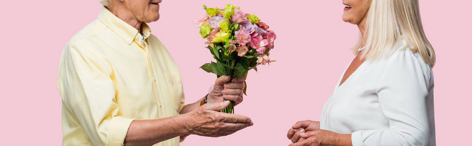 长者给幸福的妻子送花束在粉红色图片