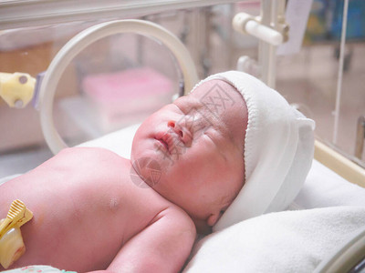 医院孵化器中的新生婴儿图片