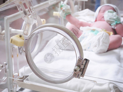 医院产后房孵化器内的新生女婴图片