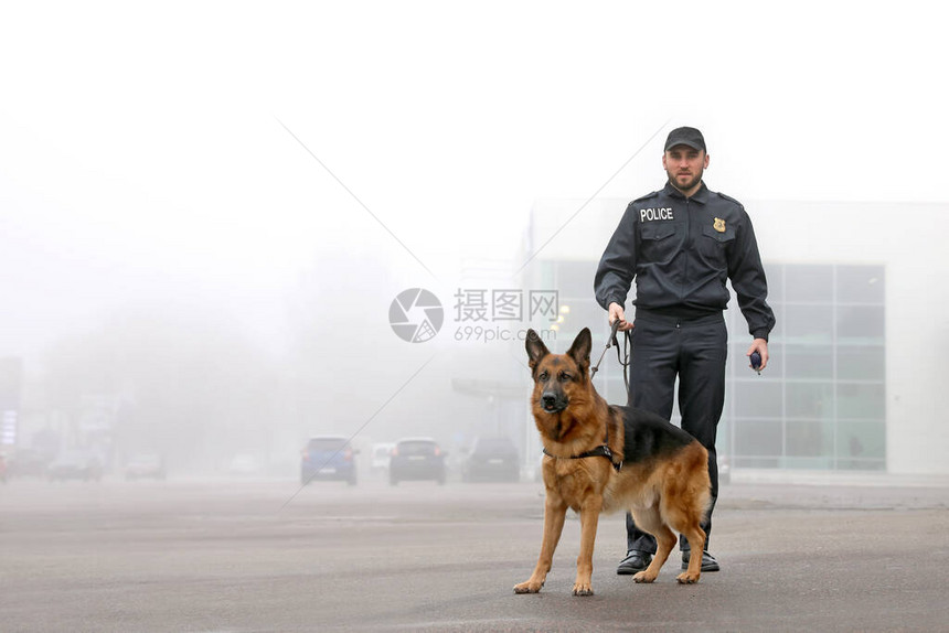 男警官和警犬在市街图片