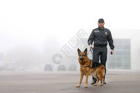 男警官和警犬在市街背景图片